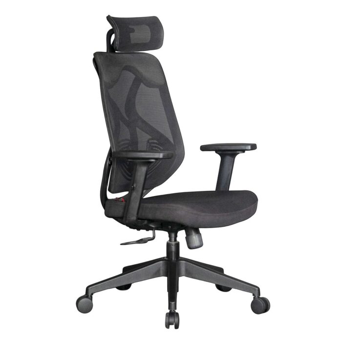 Ergonomic Chair 6