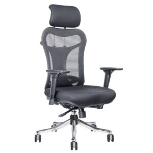 Ergonomic Chair 1