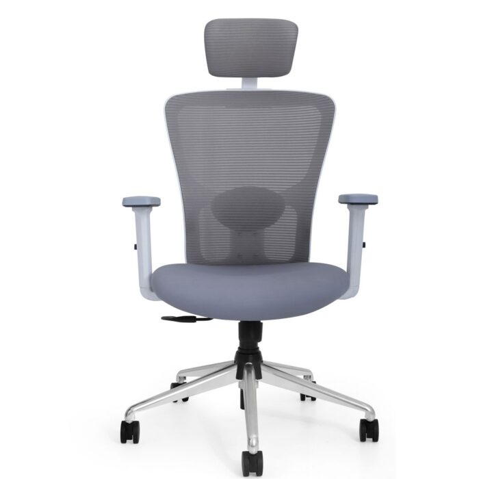 Ergonomic Chair 3