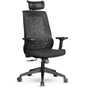 Ergonomic Chair 4