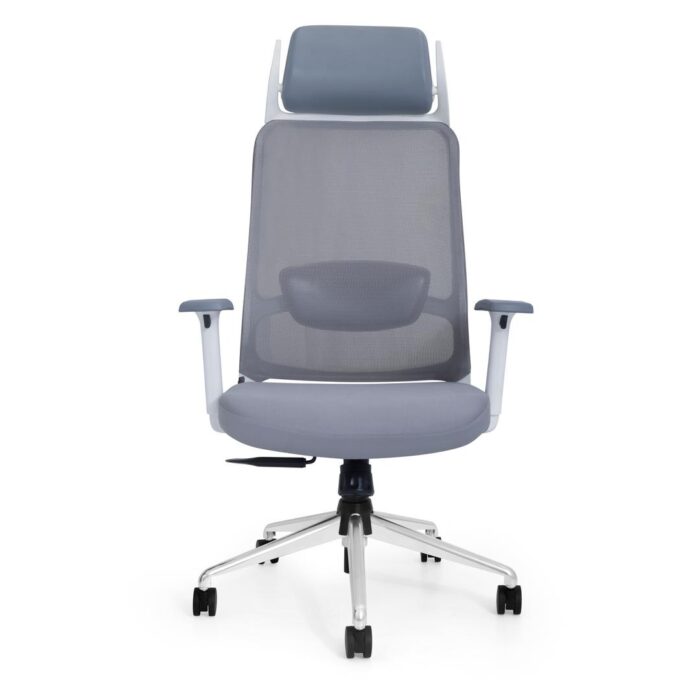 Ergonomic Chair 5